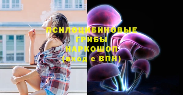 apvp Абинск