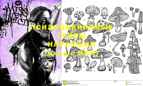 прущий лед Абаза