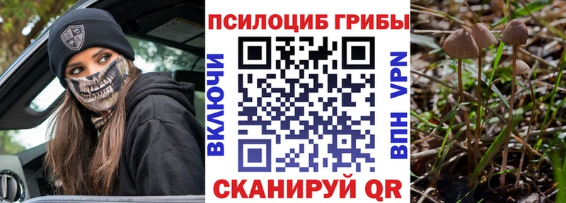 наркошоп  кракен рабочий сайт  Псилоцибиновые грибы GOLDEN TEACHER  Сергач 